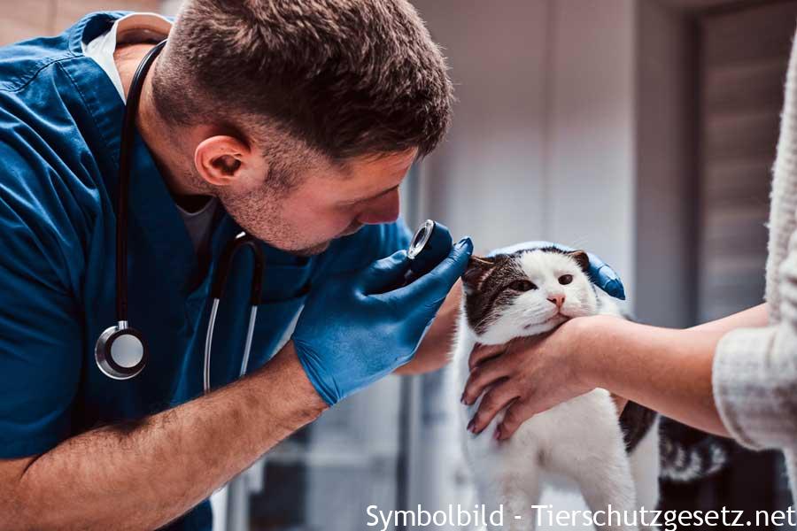 tierarzt-pflicht