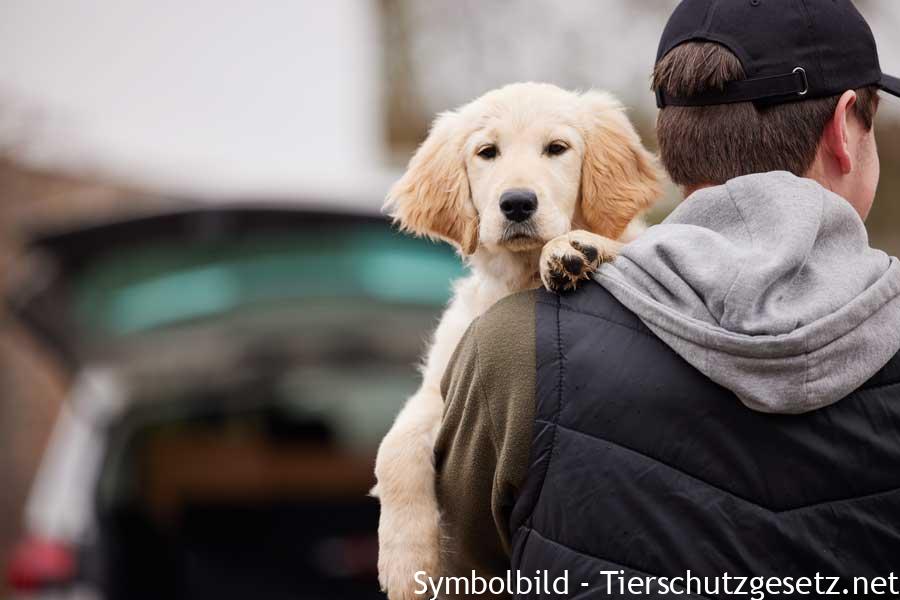 hund-gestohlen